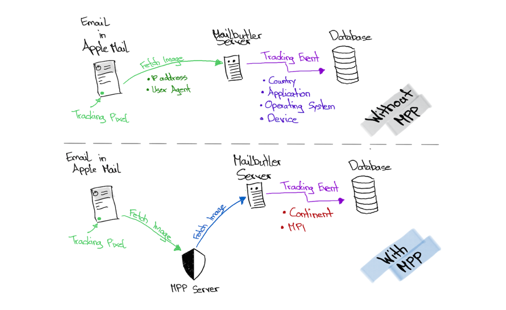 How Mail Privacy Protection relates to Mailbutler's Tracking system